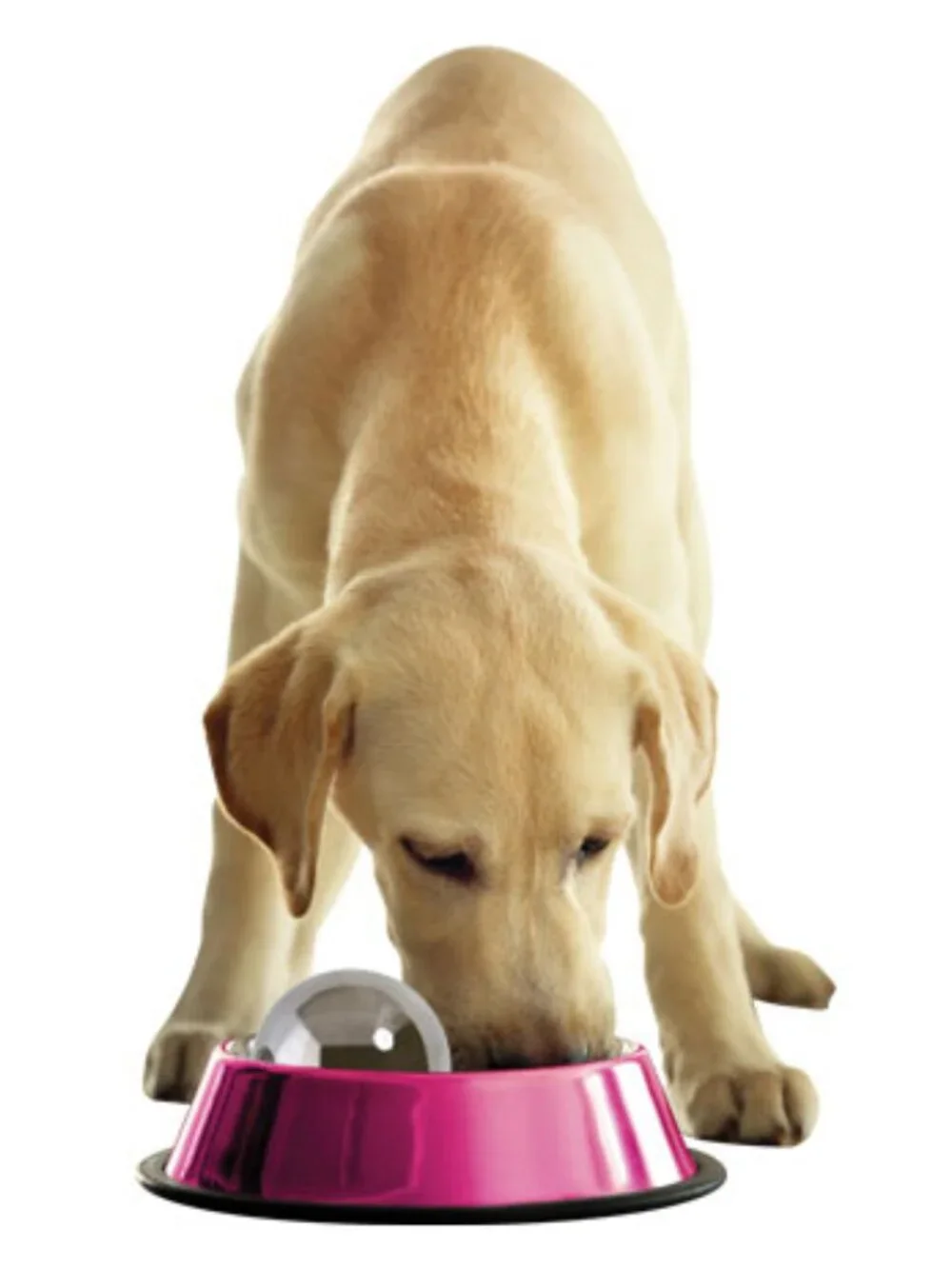 Omega Paw Dog Hog Slow Feeder Ball - Large